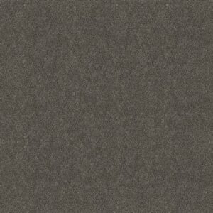 BOUNDLESS IV by Shaw Floors - Shadow