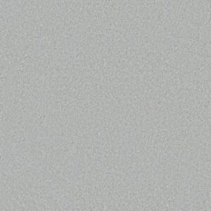 YOU GOT THIS I by Shaw Floors - Serene Blue