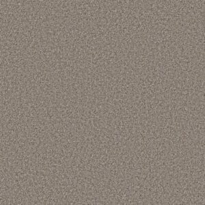 ARTISTIC FUSION II by Shaw Floors - Cashmere