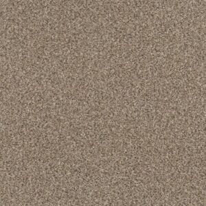 YES YOU CAN III 15' by Shaw Floors - Sea Shell