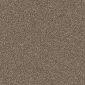 YES YOU CAN III 15' by Shaw Floors - Honeycomb