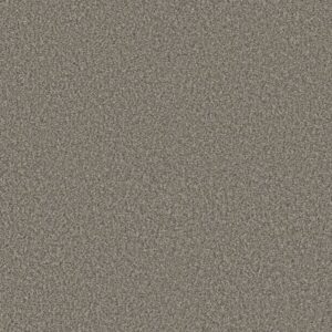 YES YOU CAN I 12' by Shaw Floors - Chic Greige