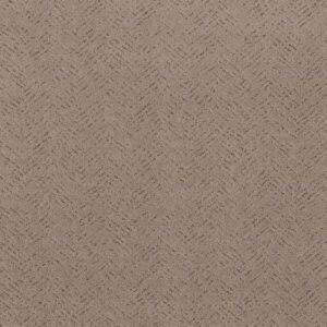 FAVOURED PATH by Shaw Floors - Cameo