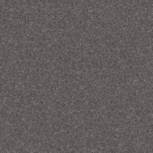 YES YOU CAN I 12' by Shaw Floors - Shadow
