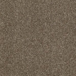 CANVAS by Shaw Floors - Townhouse