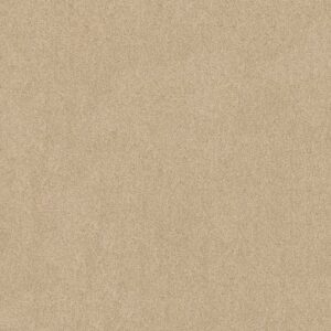 HARLEY STREET I by Shaw Floors - Dream Dust