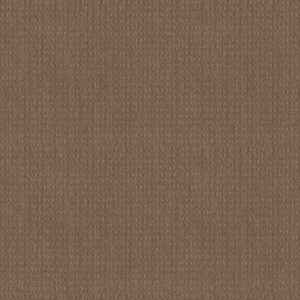 ESSENTIAL NOW by Shaw Floors - Raw Wood