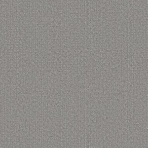 SECRET PASSAGE by Shaw Floors - Grey Fox