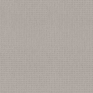 FRAMED VIEW by Shaw Floors - Warm Greige