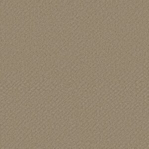 CHIC SHADES by Shaw Floors - Desert View