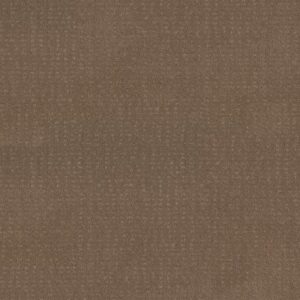 CHIC NUANCE by Shaw Floors - Raw Wood