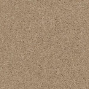 EXPLORER by Shaw Floors - Cookie Dough