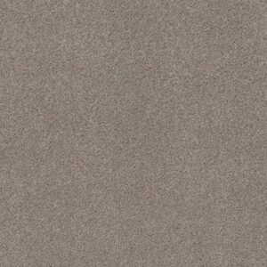 EXPLORER by Shaw Floors - Eagle Rock