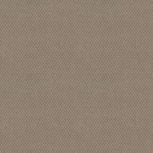CATHEDRAL HILL II by Shaw Floors - Subtle