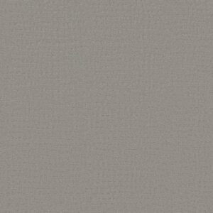SOLSTICE by Shaw Floors - Silver Fox