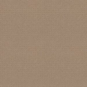 TOWN SQUARE by Shaw Floors - Spanish Sand