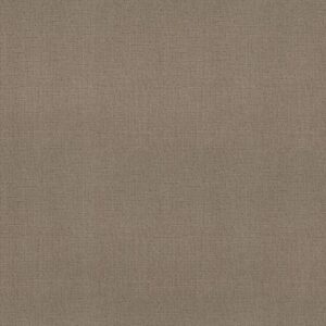 ONE MORE HOUR by Shaw Floors - Grain