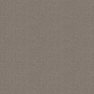 WAYFARER by Shaw Floors - Calm