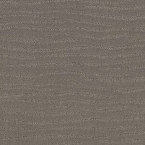 CAPISTRANO by Shaw Floors - Still Gray