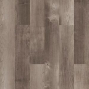 Symbiotic 20 by Shaw Floors - Mesa