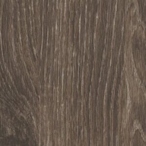 Symbiotic 12 by Shaw Floors - Batik