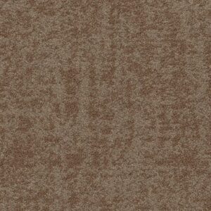 INTERMINGLE by Philadelphia Commercial - Fuse