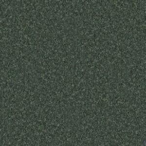 ALL STAR WEEKEND III 12' by Shaw Floors - Going Green