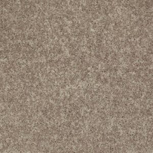 ALL STAR WEEKEND III 12' by Shaw Floors - River Slate