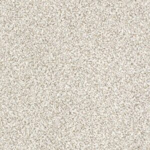 DEVON CLASSIC I by Shaw Floors - Baybridge