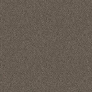 EXPECT MORE (S) by Shaw Floors - Boulder