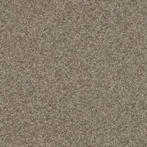MY CHOICE I by Shaw Floors - Flax
