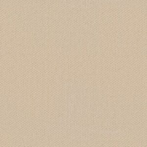 GENESIS by Shaw Floors - Winter White