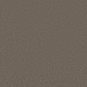 CASHMERE CLASSIC III by Shaw Floors - Chinchilla