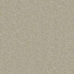CASHMERE CLASSIC II by Shaw Floors - Spruce