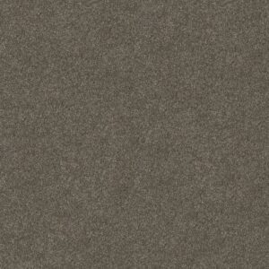 MAJORITY RULES by Shaw Floors - Bear Mountain