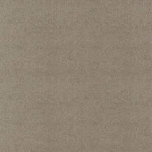 SWEET LIFE by Shaw Floors - Radiance