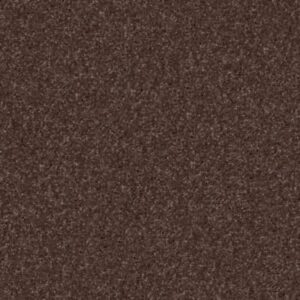 SWEET LIFE by Shaw Floors - Maple