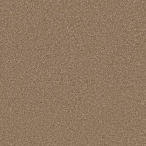 JUST A HINT II by Shaw Floors - Bronze