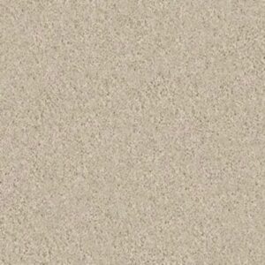 STEP RIGHT UP II 15' by Shaw Floors - Ecru