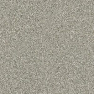ALL OVER IT II by Shaw Floors - London Fog