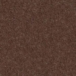 STEP RIGHT UP II 12' by Shaw Floors - Briar Patch