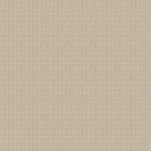 BLOCKING by Shaw Floors - Cream