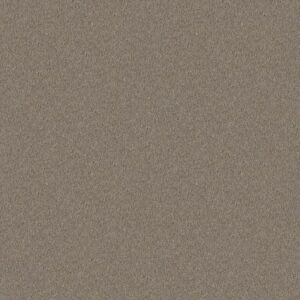 DYERSBURG CLASSIC 12' by Shaw Floors - Pebble Path