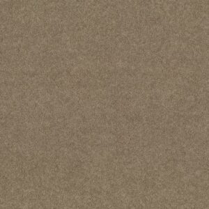 DYERSBURG CLASSIC 12' by Shaw Floors - Fossil