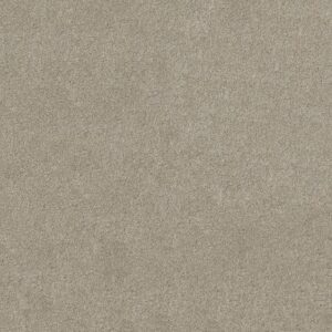 SALINA I by Shaw Floors - Silver Leaf