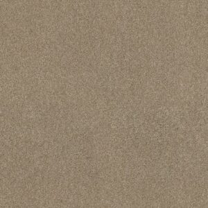 ACROSS THE BAY by Shaw Floors - Serengeti