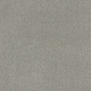 ACROSS THE BAY by Shaw Floors - Celtic