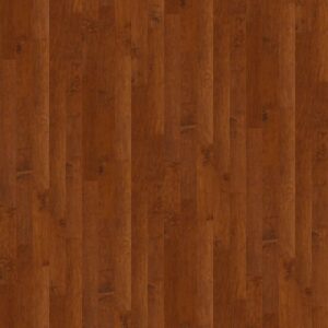 CORAL SPRINGS by Shaw Floors - Burnside