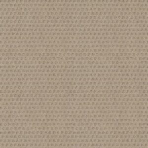 MY EXPRESSION by Shaw Floors - Amarillo