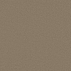 QUIET COMFORT CLASSIC III by Shaw Floors - Mesquite